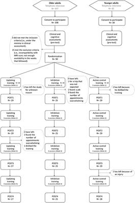 Effects of Computerized Updating and Inhibition Training in Older Adults: The ACTOP Three-Arm Randomized Double-Blind Controlled Trial